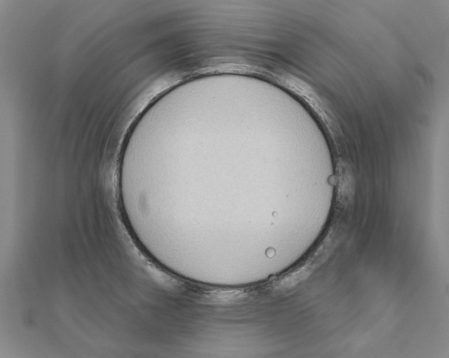 X0000111201282200908121102