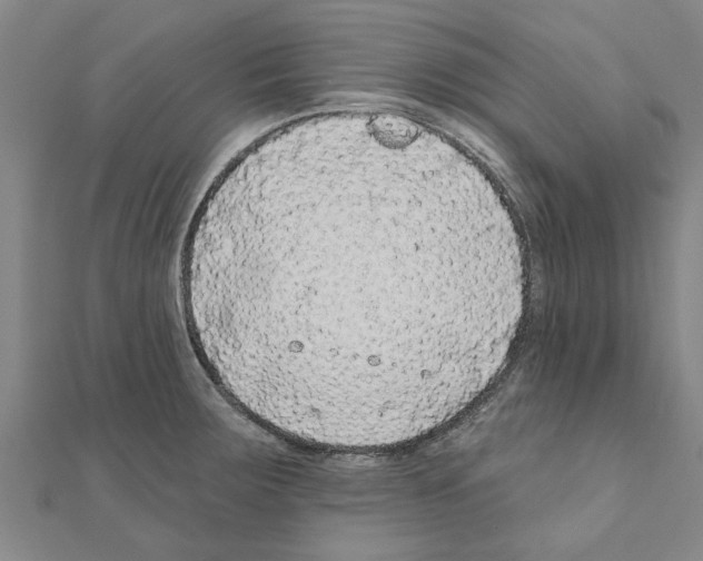 X0000111201283200908121102