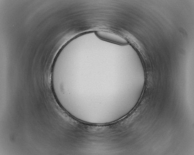 X0000111201284200908121102