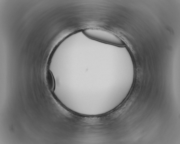 X0000111201285200908121102