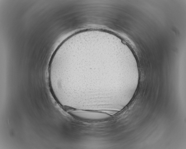 X0000111201287200908121102