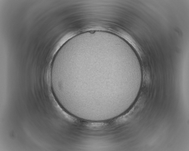 X0000111201290200908121102