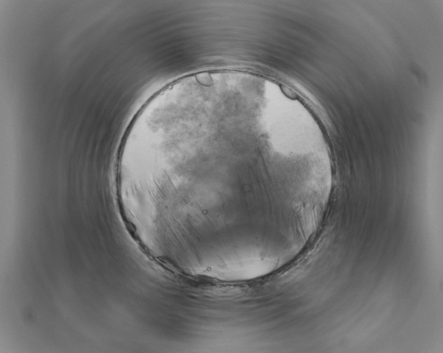 X0000111201291200908121102