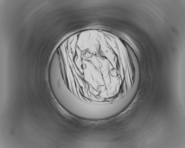 X0000111201292200908121102