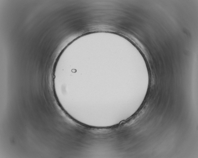 X0000111201293200908121102