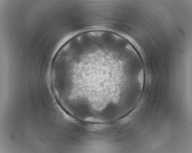 X0000111201294200908121102