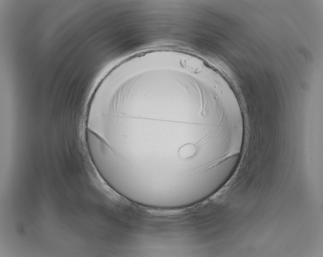 X0000111201296200908121102