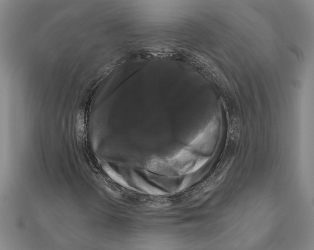 X0000111201298200908121101