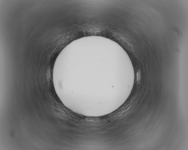 X0000111201299200908121101