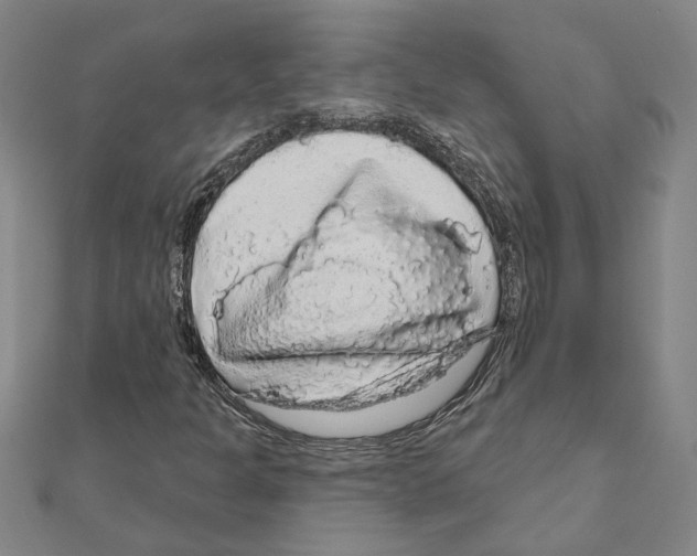 X0000111201301200908121101