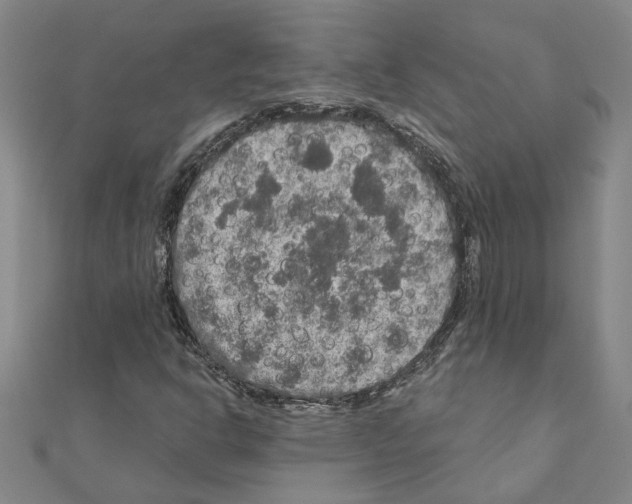 X0000111201302200908121101