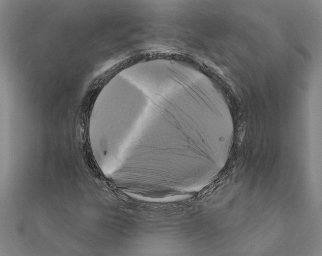 X0000111201303200908121101