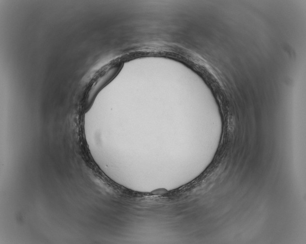 X0000111201304200908121101