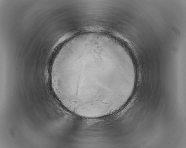 X0000111201306200908121101