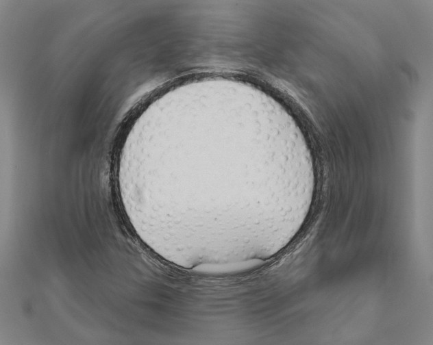 X0000111201307200908121101