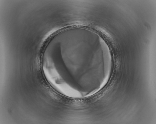 X0000111201310200908121101