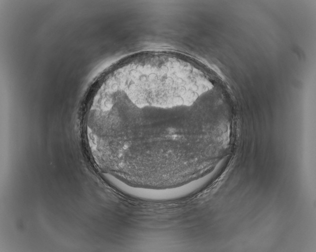 X0000111201311200908121101