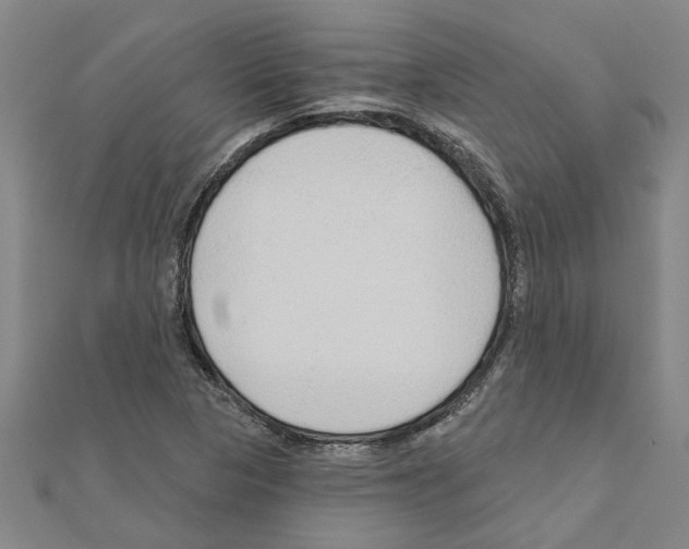 X0000111201313200908121101