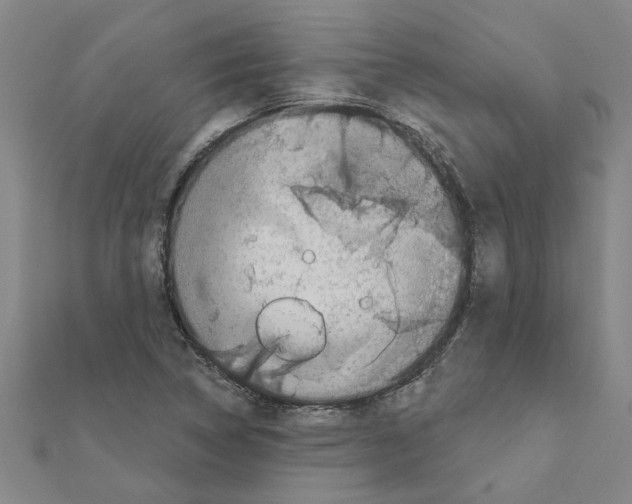 X0000111201314200908121101