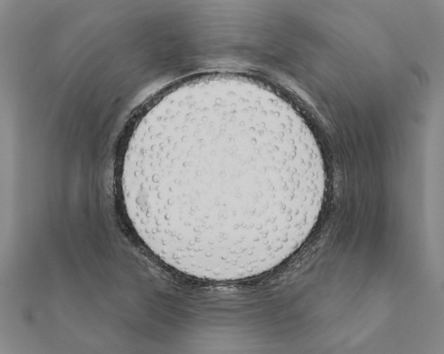 X0000111201315200908121101