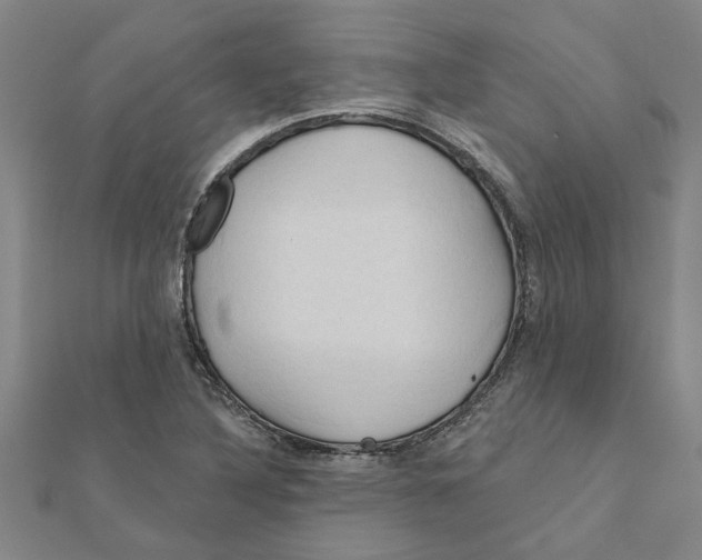 X0000111201316200908121101