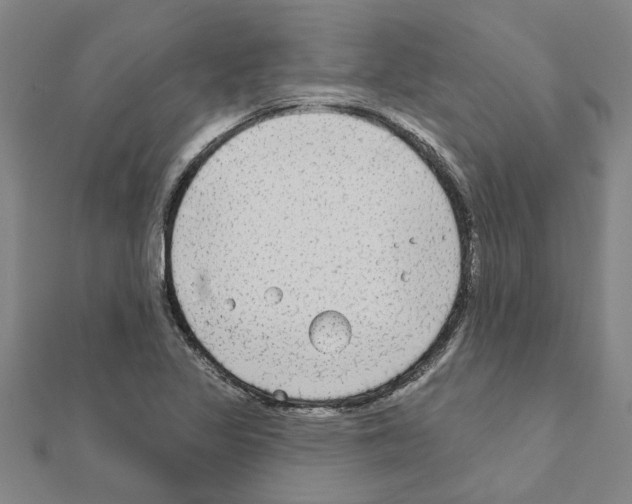 X0000111201317200908121101