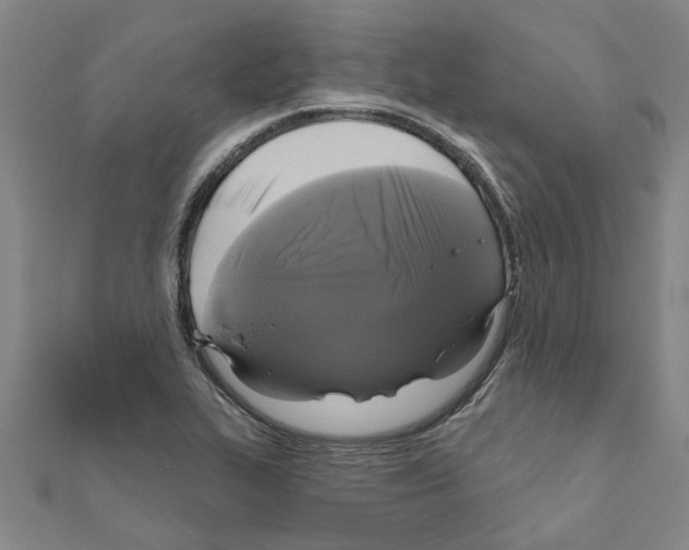 X0000111201319200908121101