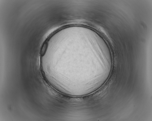 X0000111201320200908121101