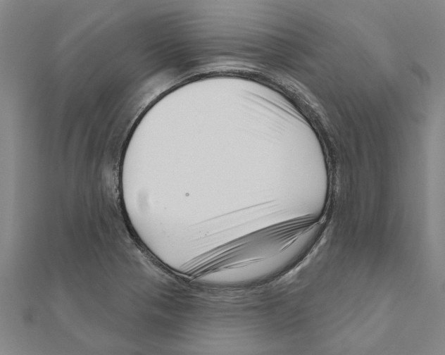 X0000111201321200908121101