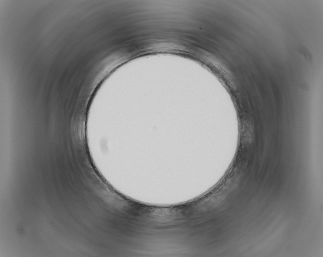 X0000111201322200908121101