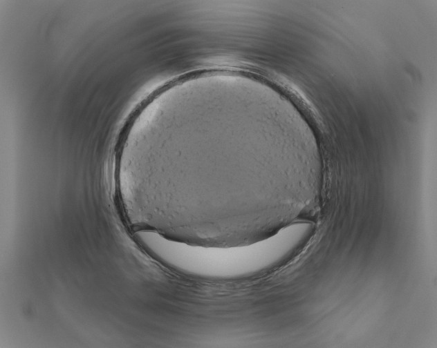 X0000111201323200908121101