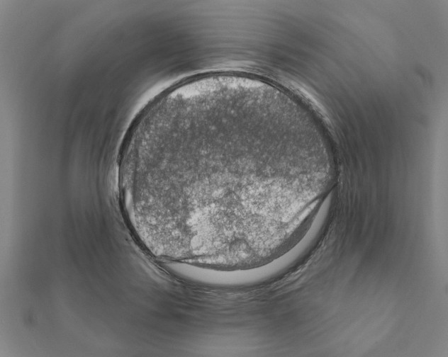 X0000111201324200908121101