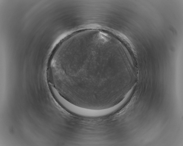 X0000111201326200908121101