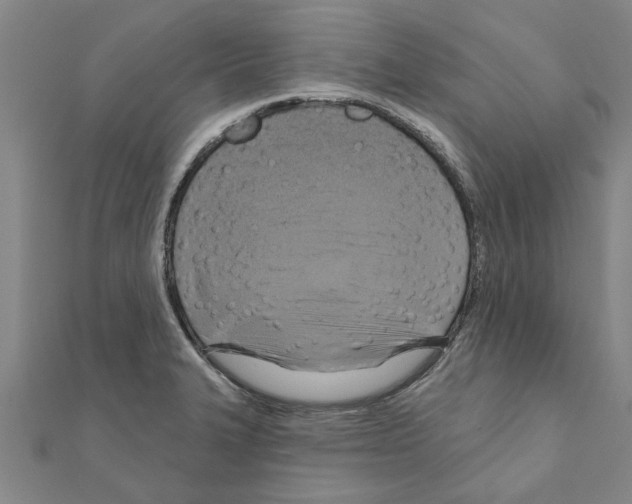 X0000111201327200908121101