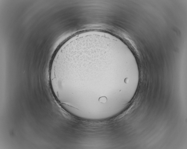 X0000111201328200908121101