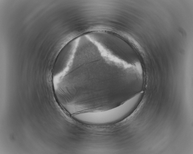 X0000111201329200908121101