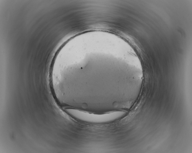 X0000111201331200908121101