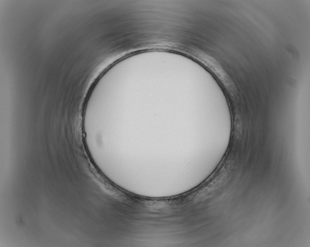 X0000111201332200908121101