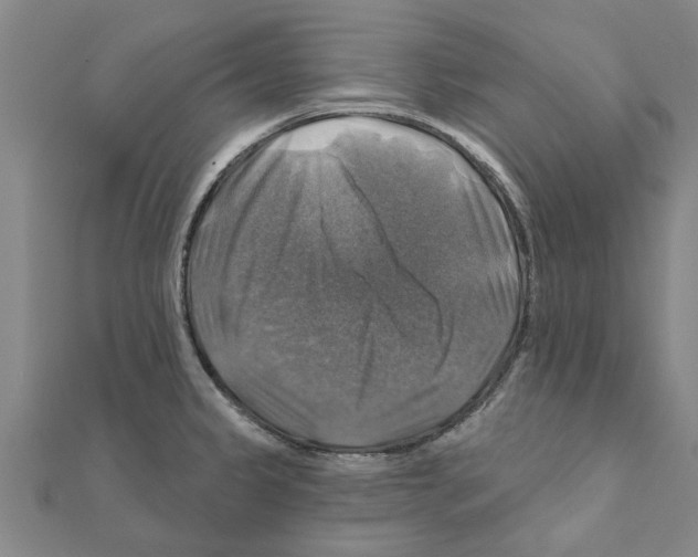 X0000111201333200908121101