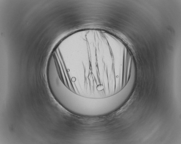 X0000111201334200908121101