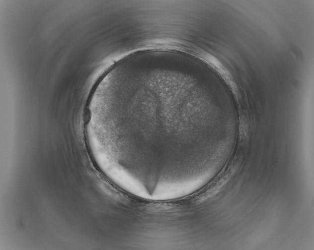 X0000111201336200908121101