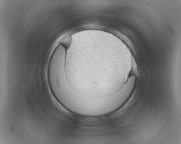 X0000111201338200908121101