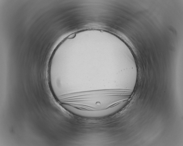 X0000111201339200908121101