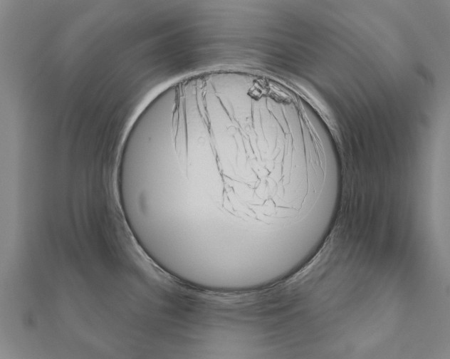 X0000111201340200908121101