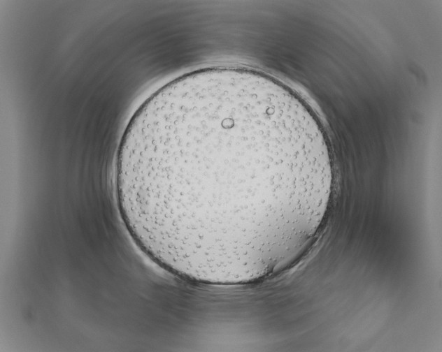 X0000111201343200908121101