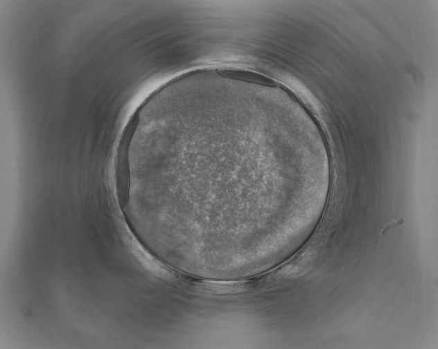 X0000111201344200908121102