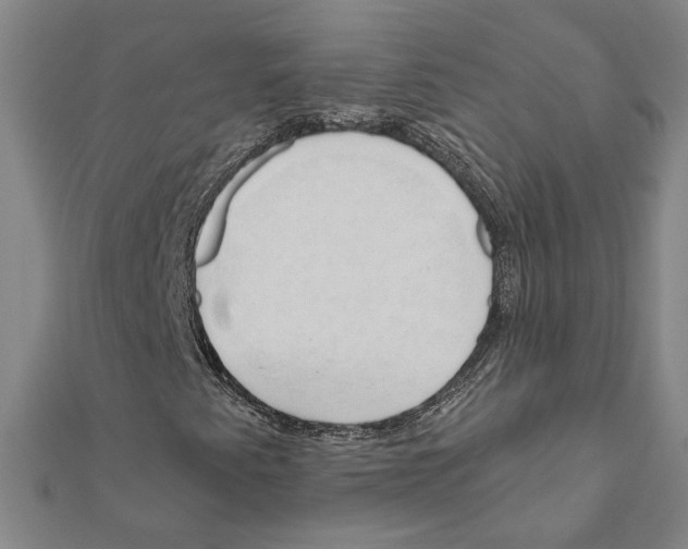 X0000111201345200908121101