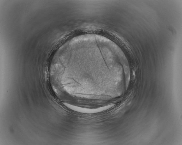 X0000111201348200908121101