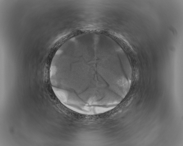 X0000111201350200908121101