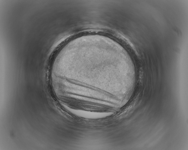 X0000111201352200908121101